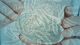 Bacteria that promote metabolic and mental health identified by renowned researchers