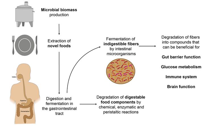 Figure-1-FoodNavigator-April-2023.png