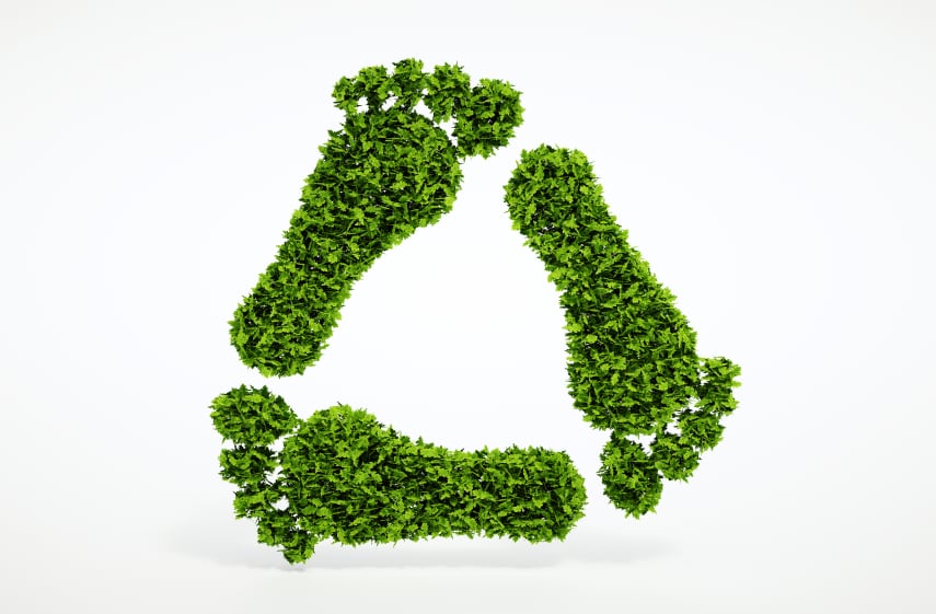 ecology-environment-footprint-sustainability-iStock.com-Petmal.jpg