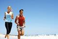 Evidence implicates nutrition as important for connective tissue health