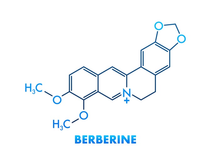 MD Logic extends health influencer line with berberine supplement
