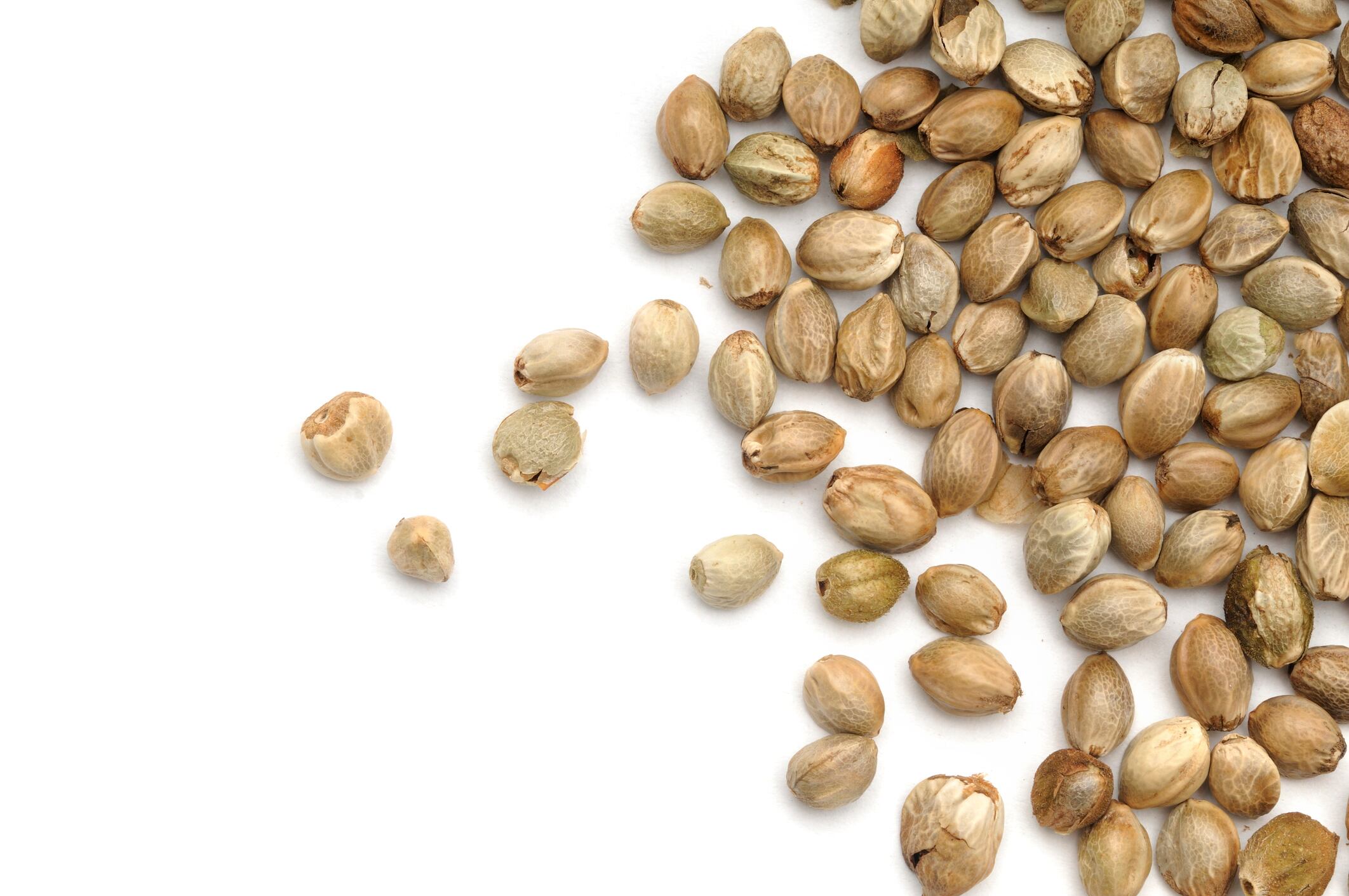 Brightseed-closes-68M-financing-to-accelerate-A.I.-discoveries-and-launch-own-ingredients.jpg