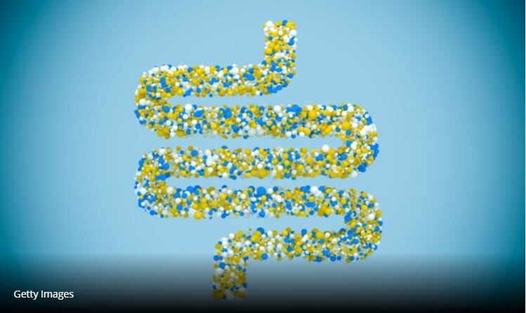 Reports urges a cultural shift to boost gut health and first 1,000 days of life