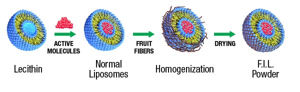 FIL-Technology_Article-Fig-1.jpg