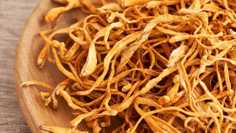 M2 Ingredients highlights recent ex vivo studies for mushrooms on gut health at IFT FIRST