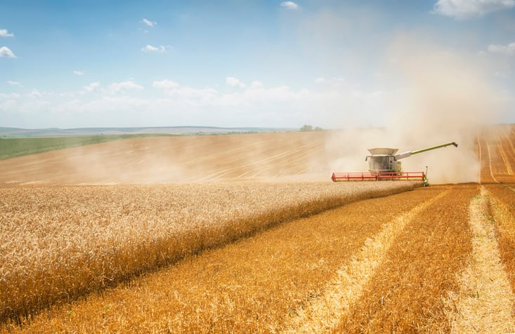 Arabinoxylan prebiotic from food waste set to debut in North American markets