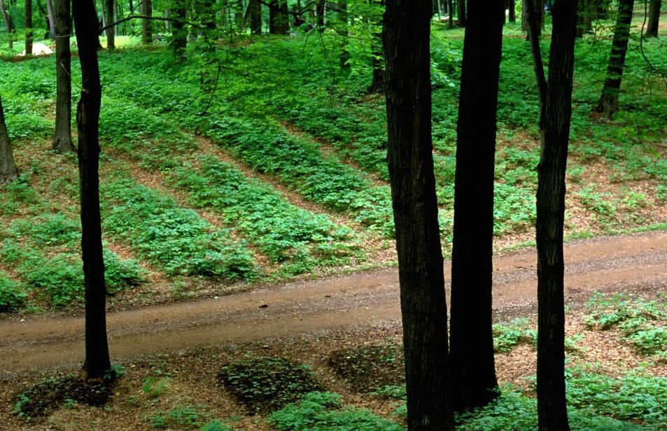 hardings-farm.jpg