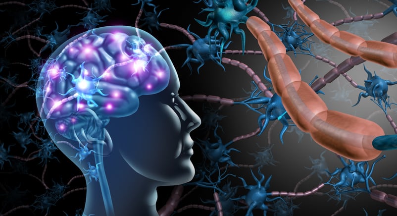 Synbiotics-for-stress-study-observes-reduced-markers-of-inflammation.jpg