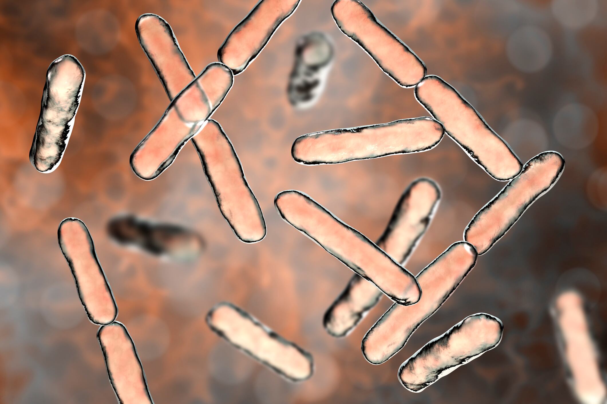 Proposals-for-harmonized-probiotic-guidelines-stay-on-CODEX-agenda.jpg