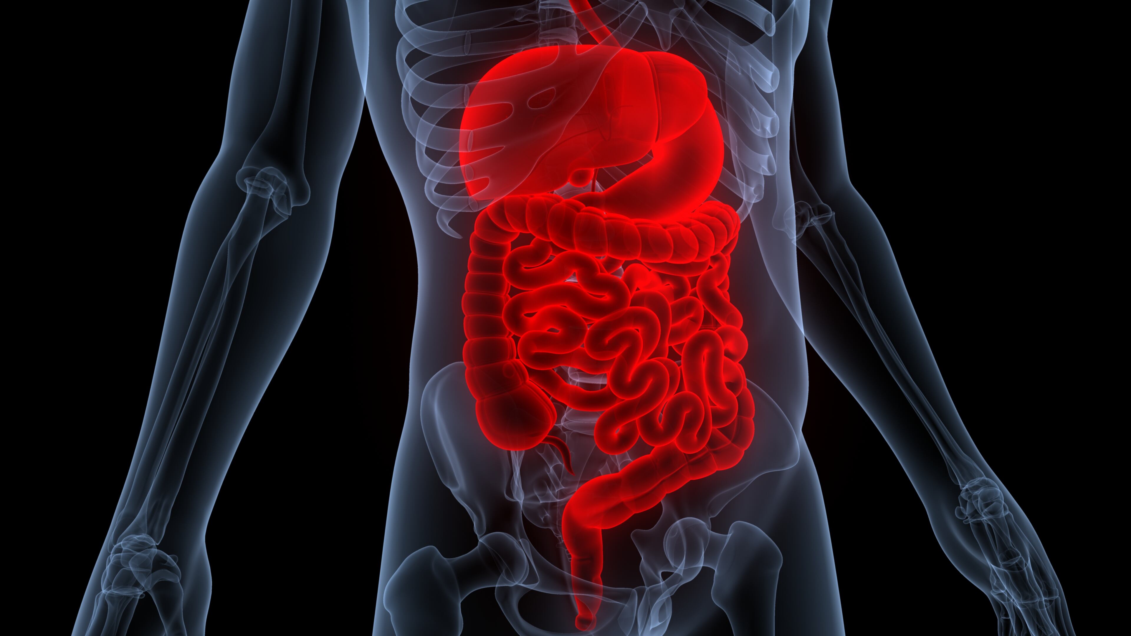 Scientists scale up world's first in vitro gut model with mucus barrier 
