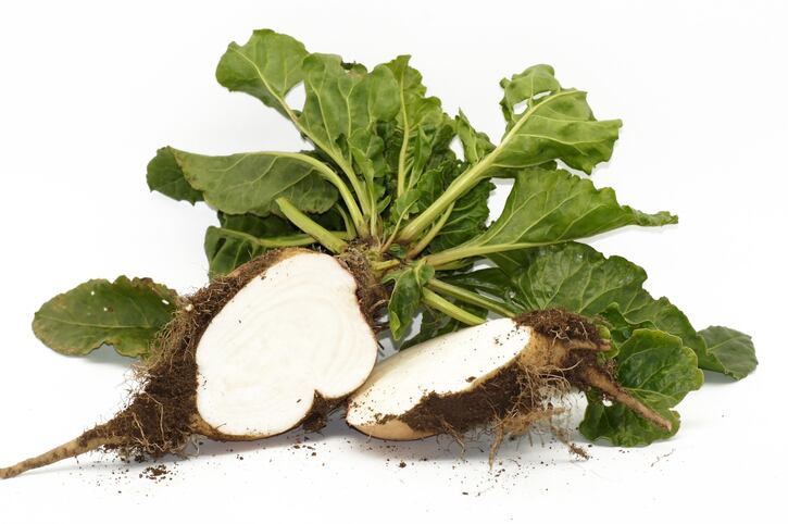 Ingredients by Nature and Galam introduce new prebiotic fiber