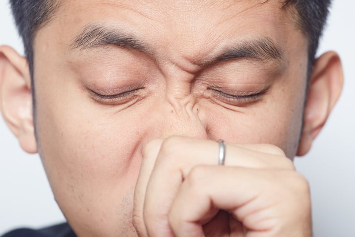 Prebiotics consumption reduces risk of allergic rhinitis