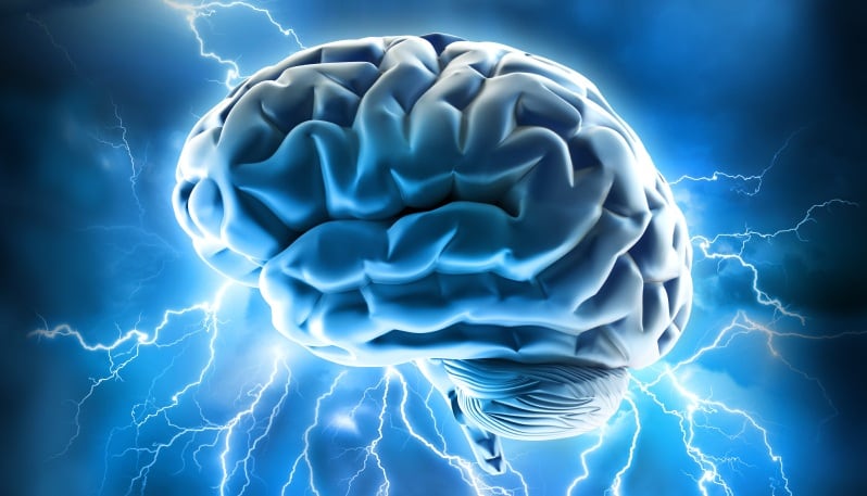 Brain-16x9.jpg