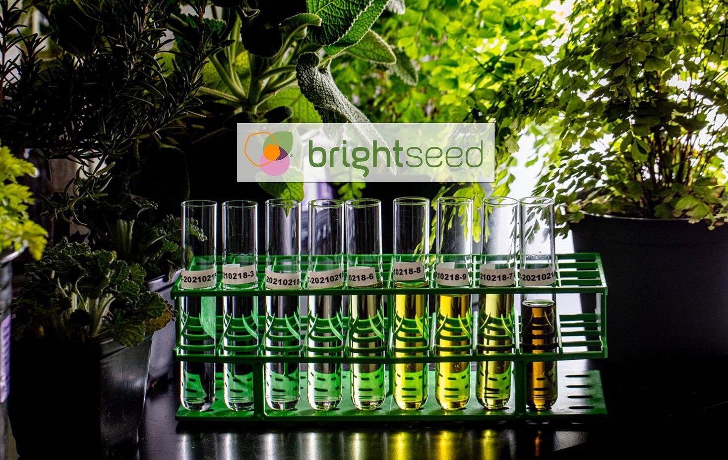 Gates Foundation funds Brightseed to discover plant-based bioactives to improve birth outcomes