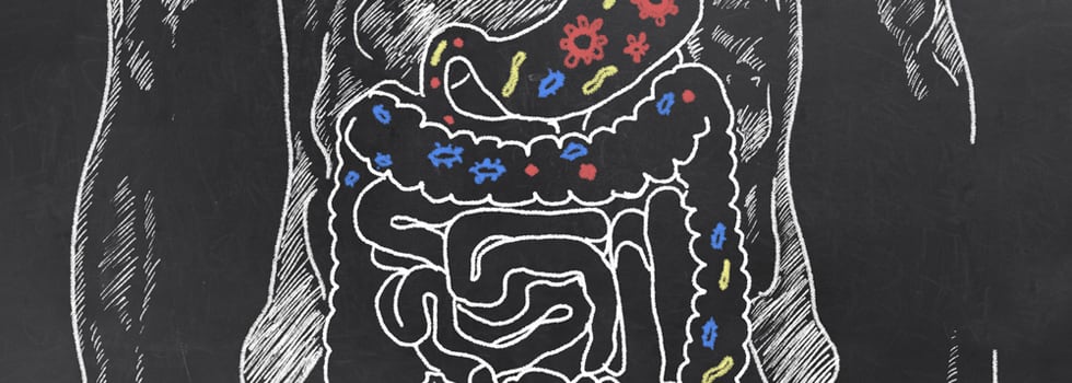 Probiotics-and-Metabolic-Syndrome.png