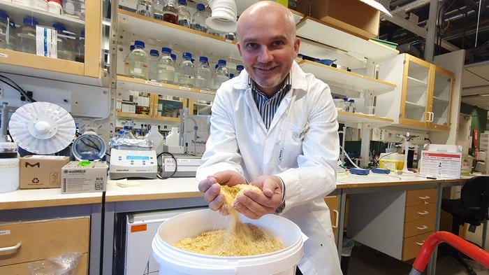 Scientists unveil new method that extracts antioxidant nutrients from corn processing waste 