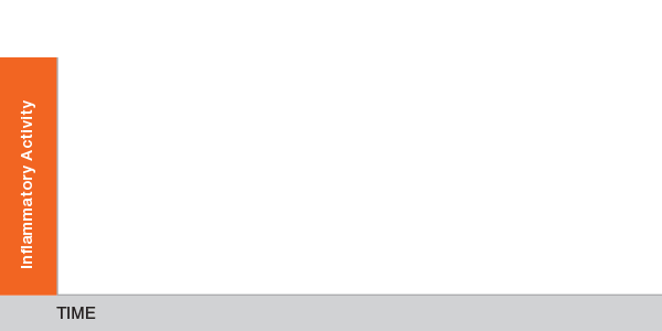 03_Article_Multimedia_600x300_pixels.gif