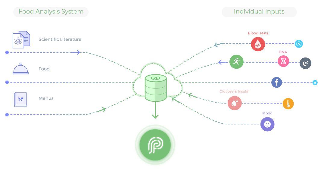 Nutrino Health’s AI nutrition platform absorbed by Medtronic’s acquisition