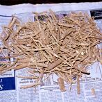 ashwagandha_drying_icon_0.jpg