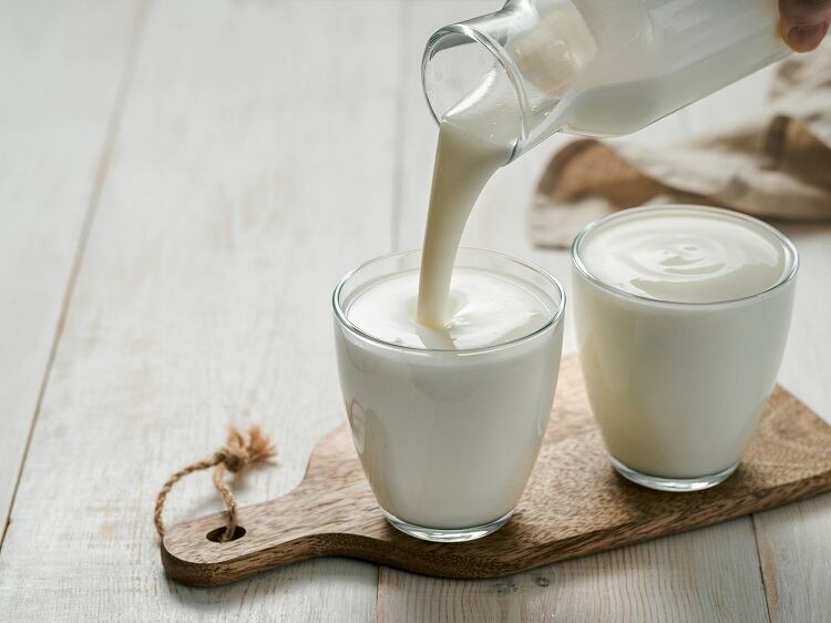 fermented-dairy-Fascinadora.jpg