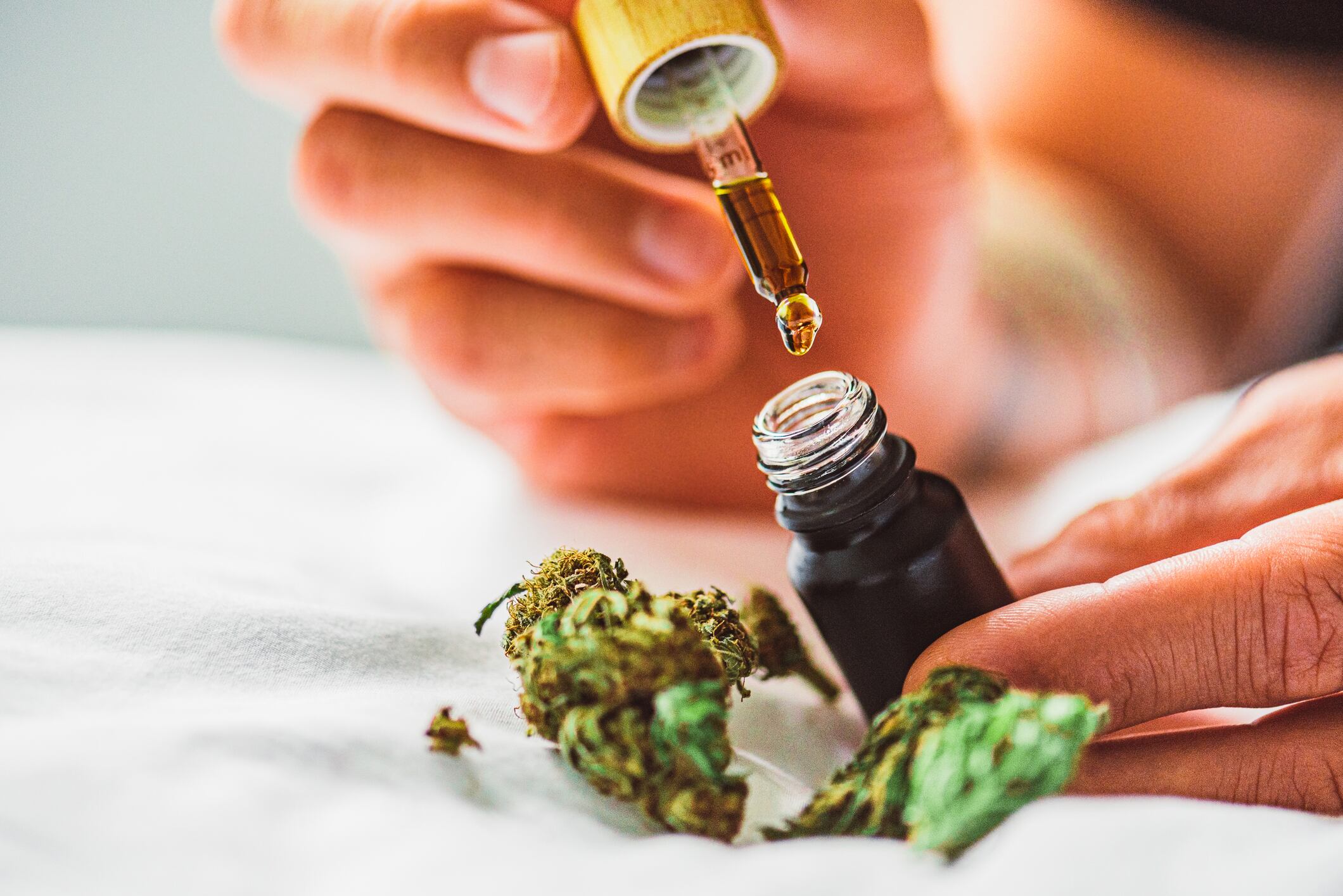 Review highlights cannabinoids’ therapeutic potential in gastrointestinal dysfunction