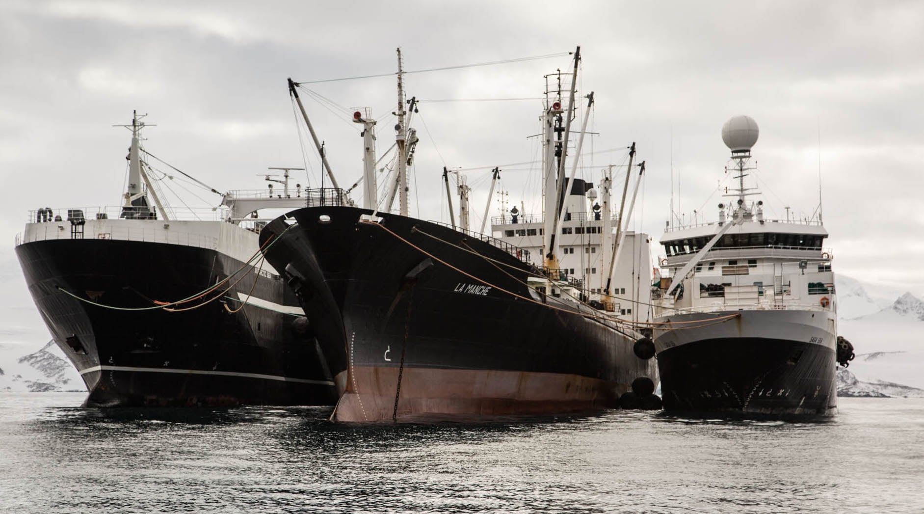 Aker brings more NGOs into fold to bolster sustainability message