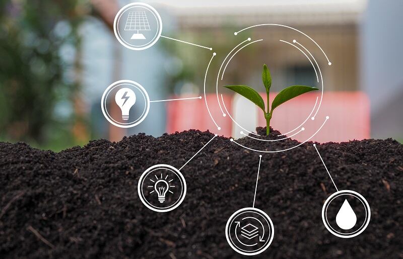 How-alt-protein-makers-can-get-started-with-life-cycle-assessments-to-assess-sustainability-impact.jpg