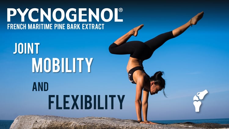 Pycnogenol® for Joint Health