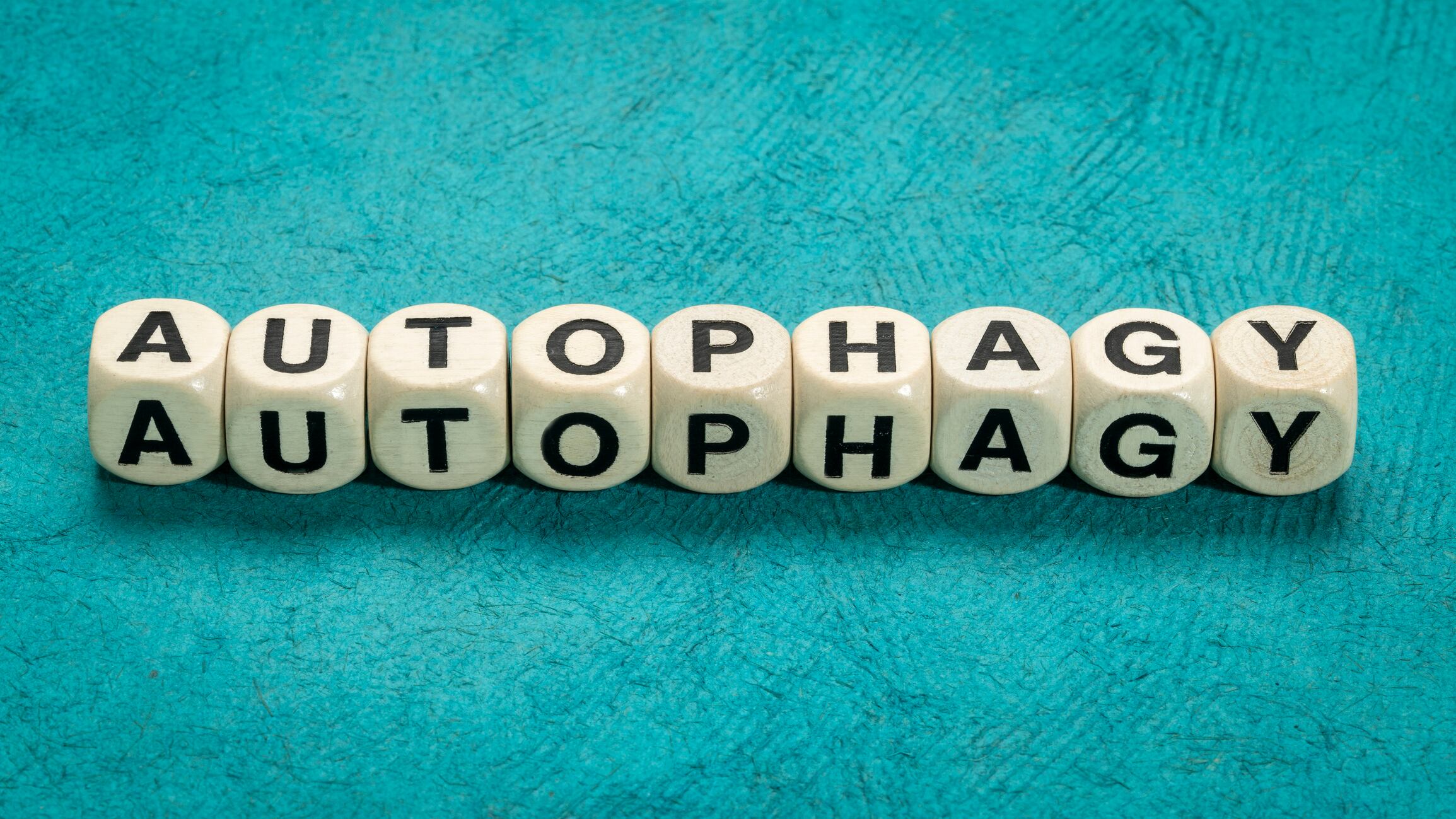 autophagy word in letter cubes against bark paper, cleaning out damaged body cells in order to regenerate newer, healthier cells