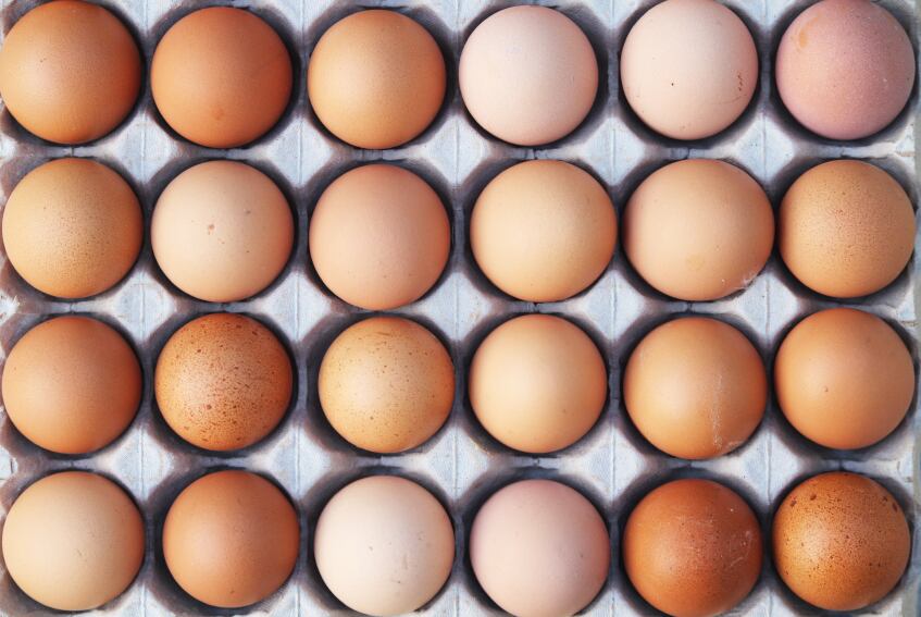 eggs-variety.jpg