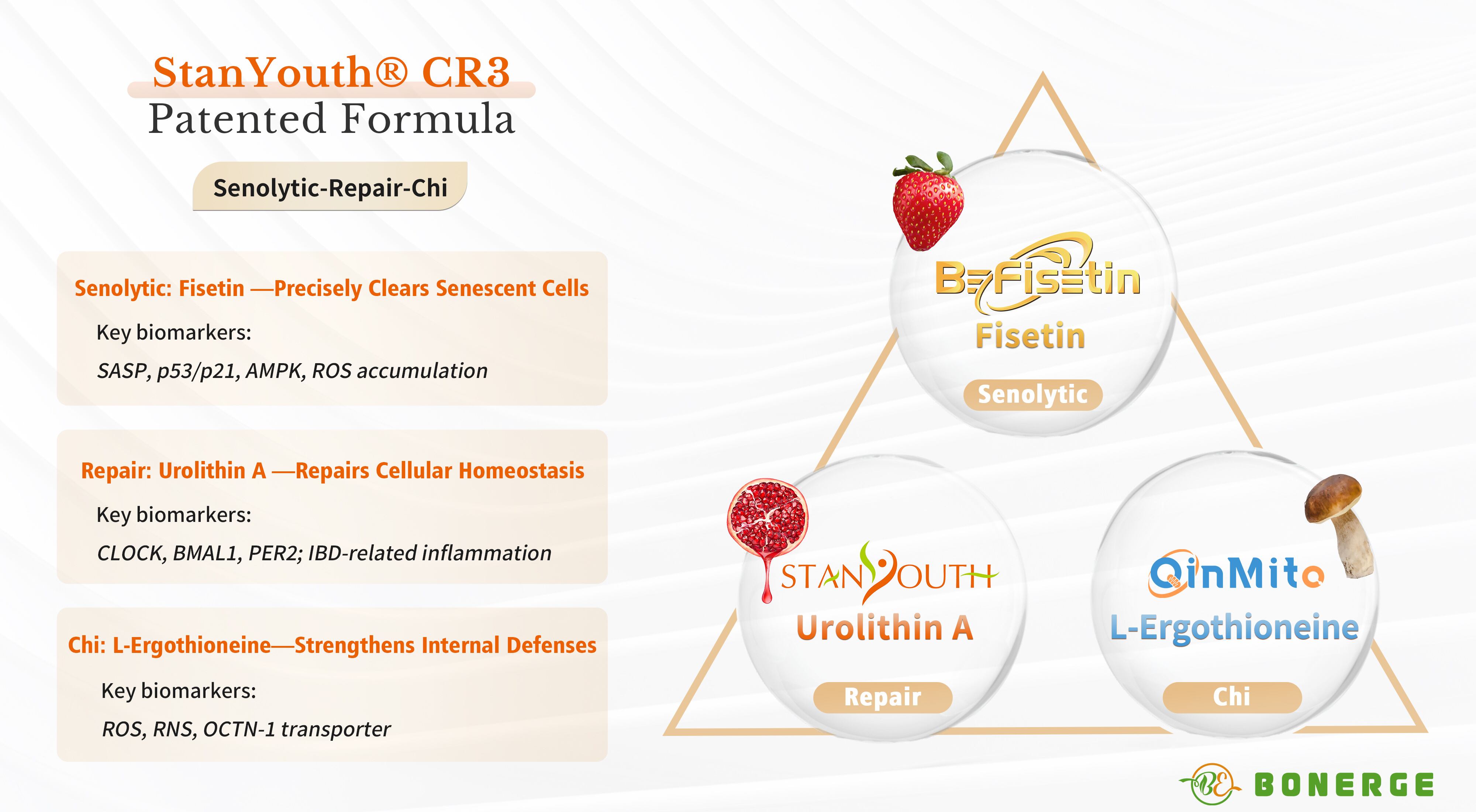 StanYouth CR3 Patented Formula