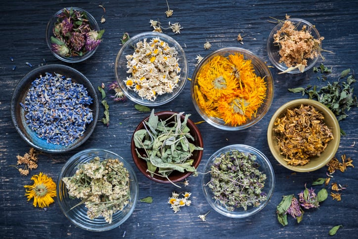 Sustainable-Herbs-Program-forms-advisory-group.jpg