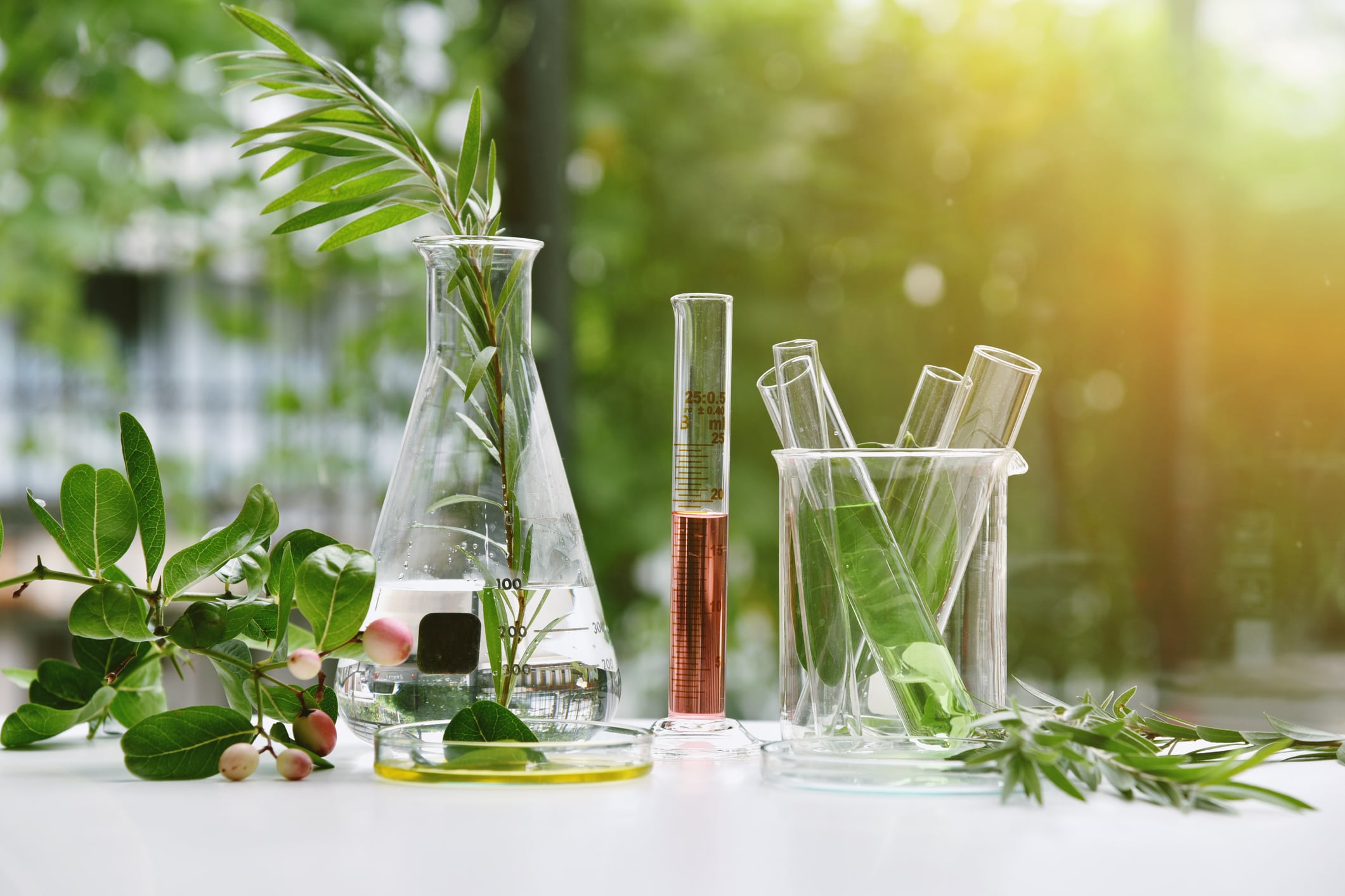 Combatting adulteration: How BotaniCERT is using metabolomics to benchmark botanicals