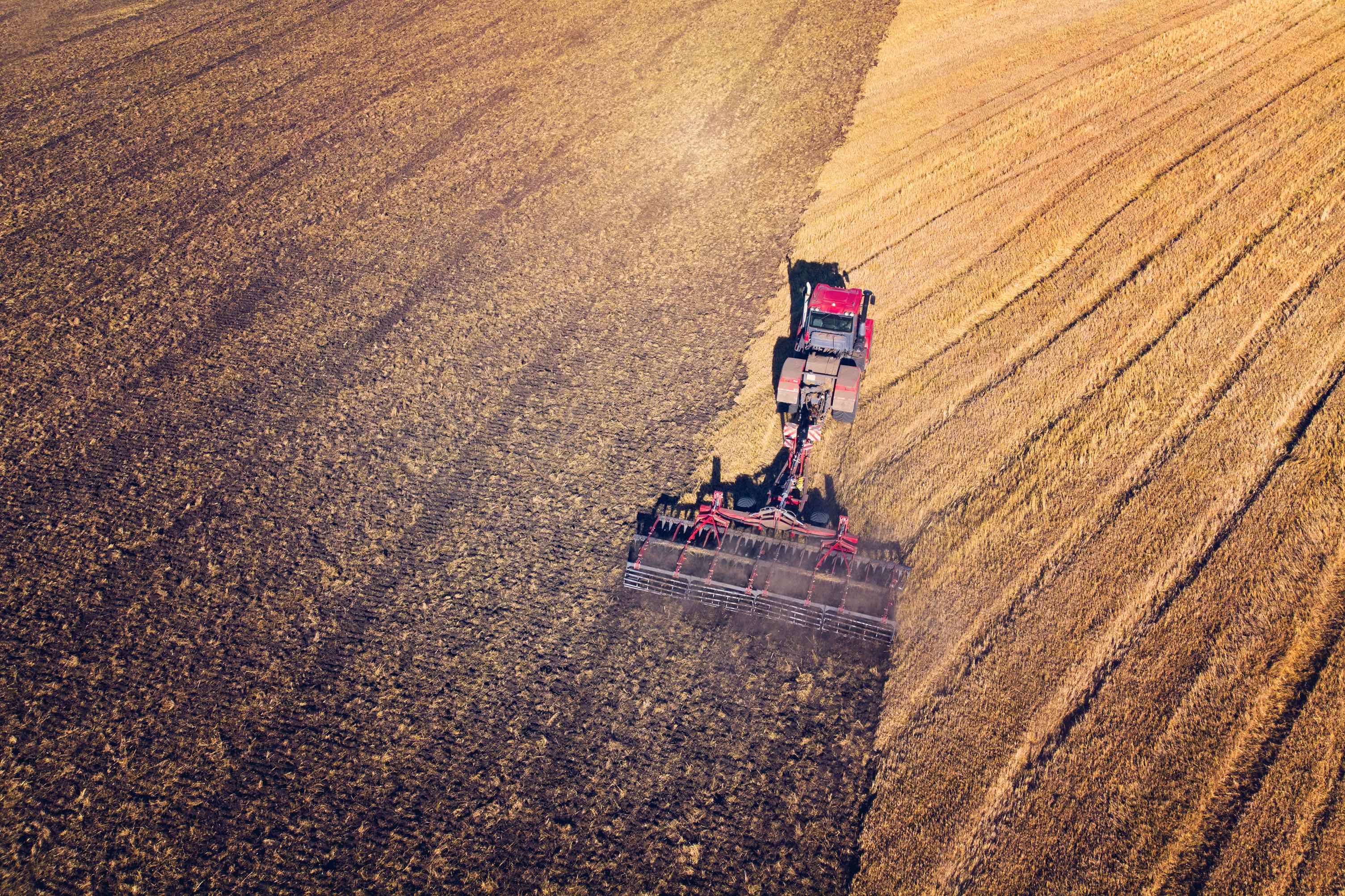 Soil-health-ought-to-be-pressing-concern-for-every-aspect-of-the-nutrition-industry.jpg