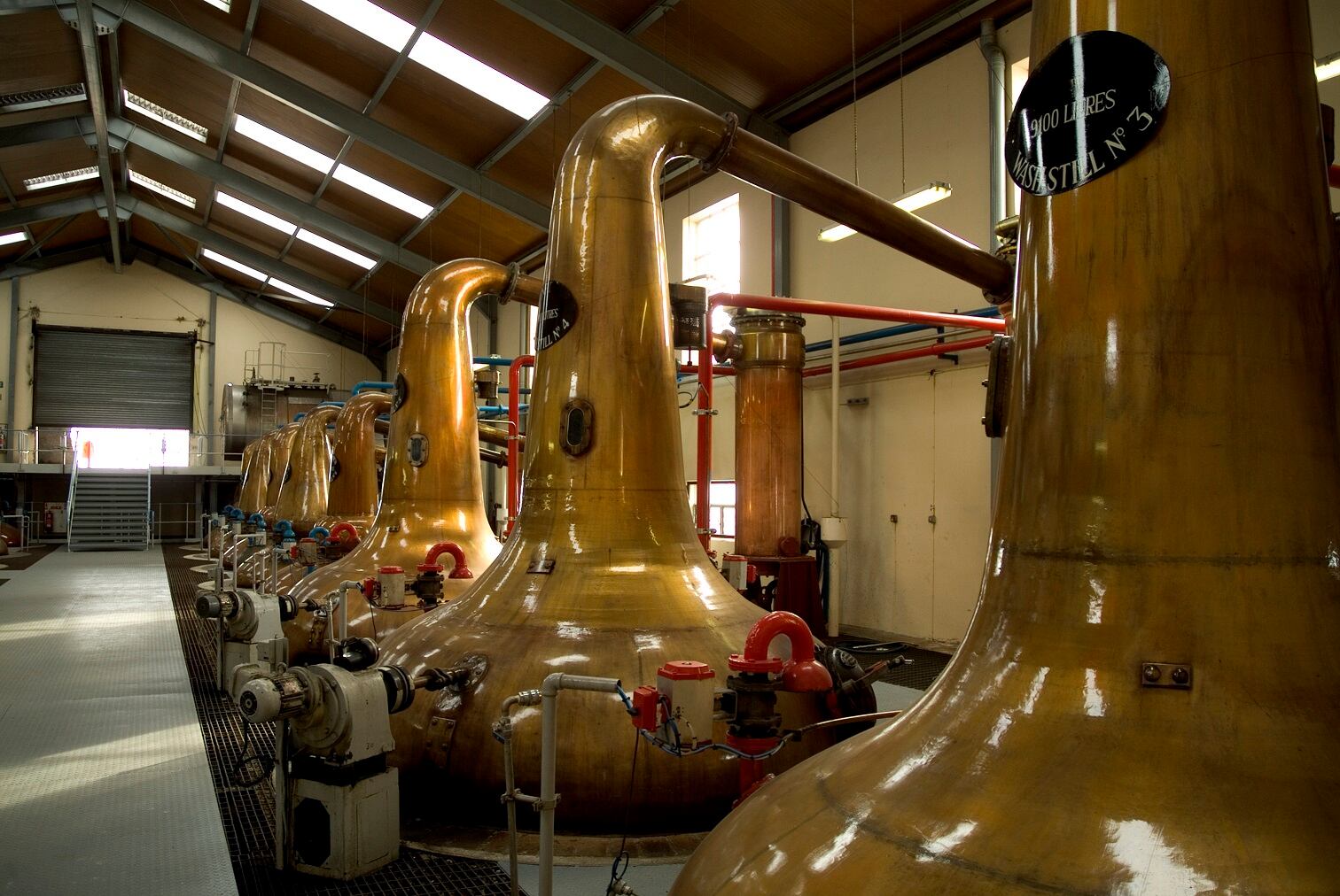Scottish-start-up-secures-investment-to-accelerate-microalgae-production.jpg