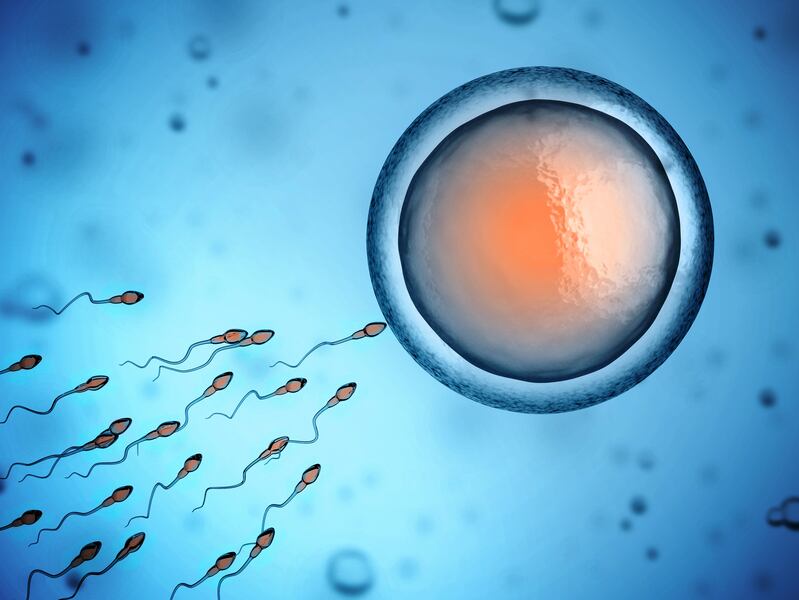 Coenzyme Q10 and L-carnitine may improve sperm health, review concludes 