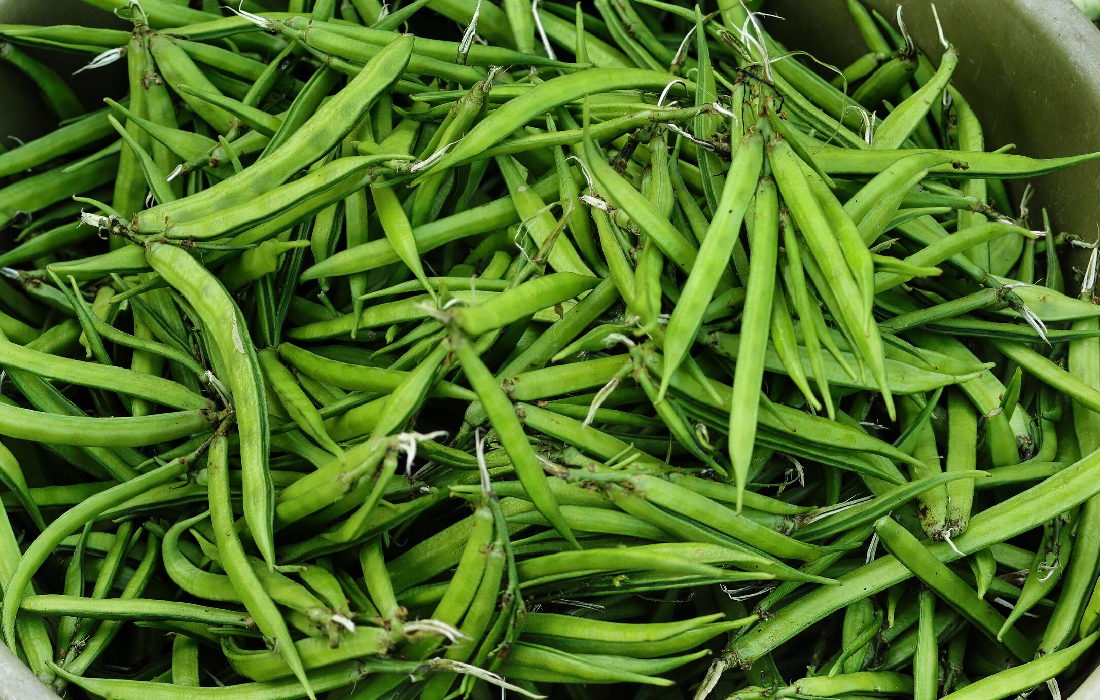 Startup taps into guar protein for food fortification