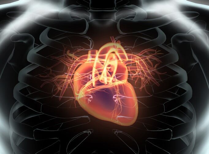 EU-team-identifies-gut-microbiome-signature-for-heart-disease.jpg
