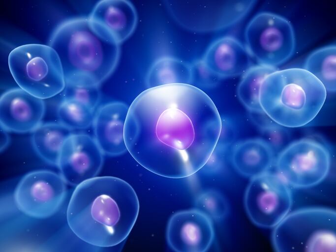 Cellf-2.0-boosts-availability-of-cellular-health-support.jpg