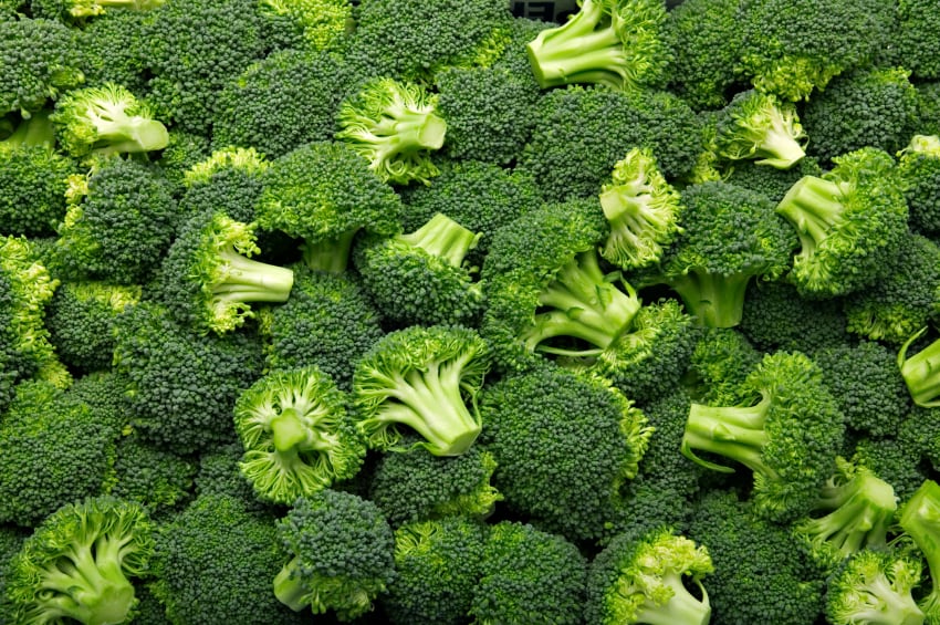 Broccoli-folic-acid-vegetable.jpg