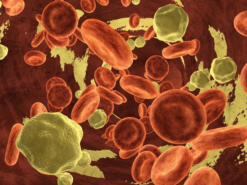 EC to award first health claim for combined effects of nutrients on lowering cholesterol