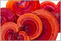 Organic mushroom extracts with proprietary ingredients from Nammex and ENI expand the mushroom products horizon.