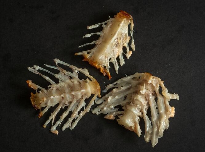 Fish bone powder ingredient six times more absorbable than calcium carbonate 