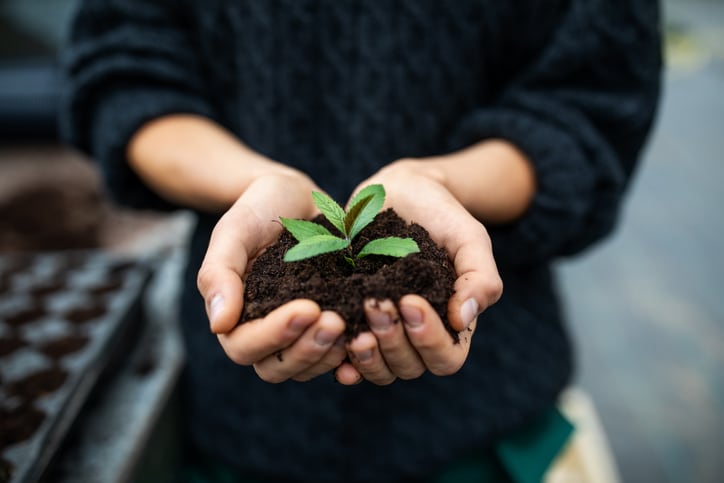 Ancient Nutrition seeks to stand out in crowded greens aisle with new formulas, delivery modes