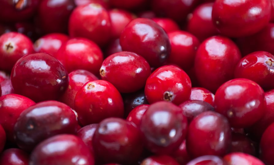cranberries-cranberry-berries-urinary-women-s-UTI-botanical-medical-device-iStock.com-Alexandra-Thompson.jpg