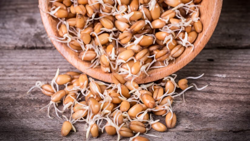 Spermidine may protect against cardiovascular risk factors: Study