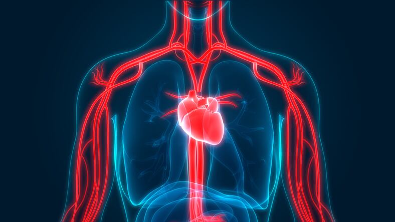 Heart Association advisory on high triglycerides could help raise omega-3s supplements, expert says
