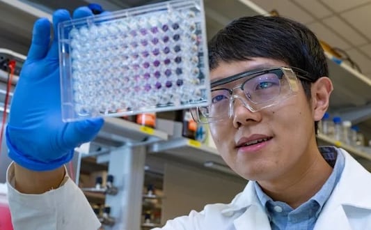 Researchers ‘rewire’ bacteria to produce more vitamin K2