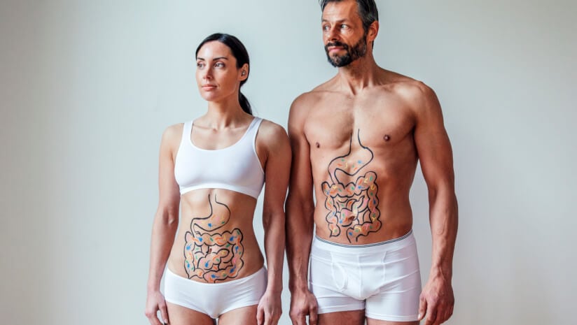 From basement to breakthrough: How ProDigest redefined gut research