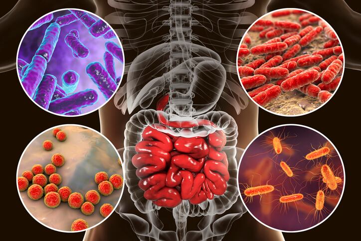 Researchers-develop-way-to-alter-intestinal-microbiota-vaccinate-against-inflammatory-diseases.jpg